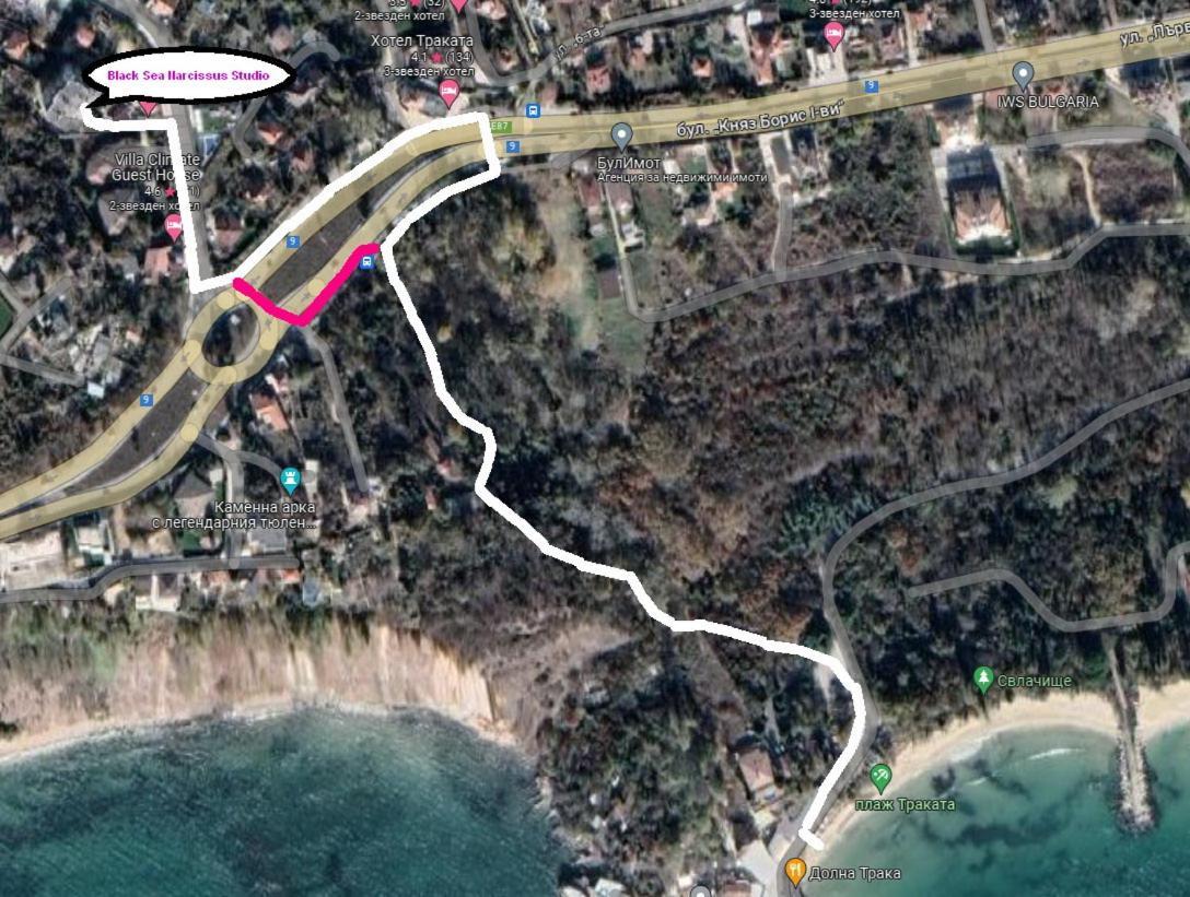 Black Sea Narcissus - Quiet Studio With Amazing Sea View Varna Exterior foto